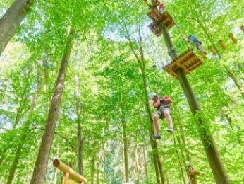 Abenteuer im Wald Kenzingen Abenteuer im Wald Kenzingen